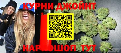 гидра Донской